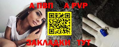 стаф Тайшет