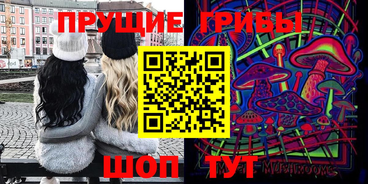 Карачаевск  Галлюциногенные грибы GOLDEN TEACHER  Вход с VPN 